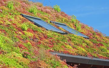 Shacklewell living roof systems