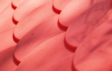 Shacklewell plastic roof costs