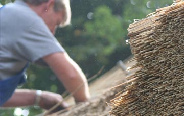 professional Shacklewell thatchers